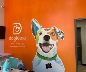 Mequon Sign Company wall mural dogtopia client 300x250